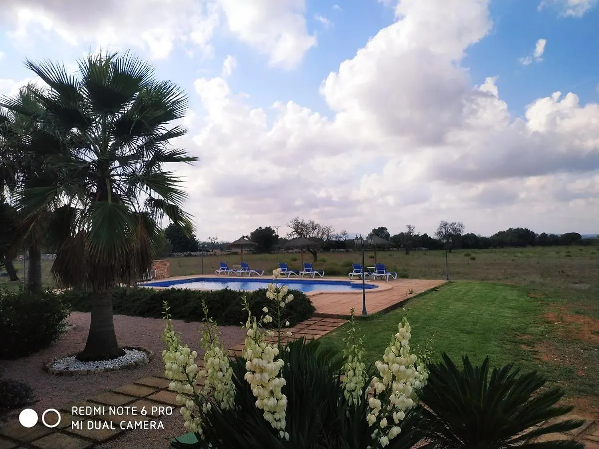 Farm stay Bonvent Villa Felanitx