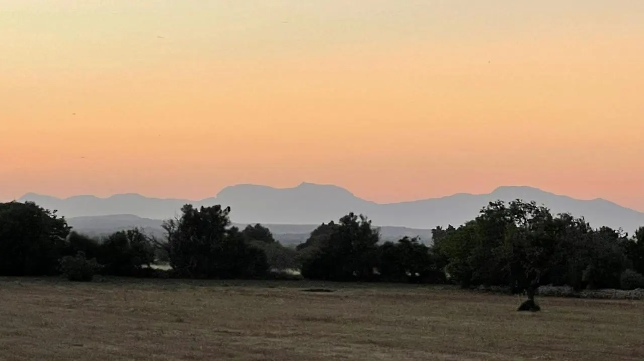 Farm stay Bonvent Villa Felanitx Spain